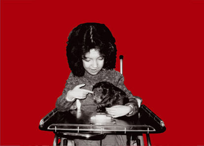 Frau im Rollstuhl mit Haustier auf dem Scho&szlig;